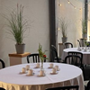 1710 Groene plant op witte sokkel met Douglas top