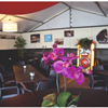 1751 Decorwanden bruin café