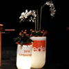 1765 Verlichte cilinders