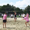 2456 Volleybal installatie en veldafzetting