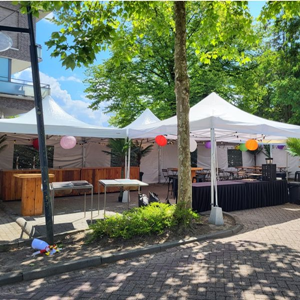 1202 Pop-up afdak wit 4 x 4 meter