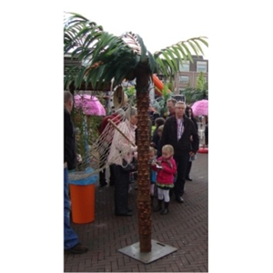 1755 Palm met kokosnoten