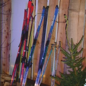1825 Ski's met stokken