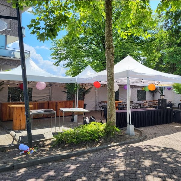 1202 Pop-up afdak wit 4 x 4 meter