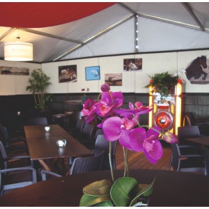 1751 Decorwanden bruin café