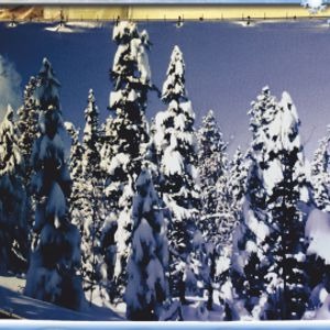 1852 Decorhek Besneeuwde dennenbomen