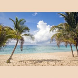 1856 Decordoek Beach
