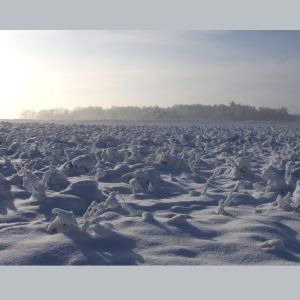 1857 Decordoek Winterlandschap 1