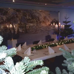 1858 Decordoek Winterlandschap 2