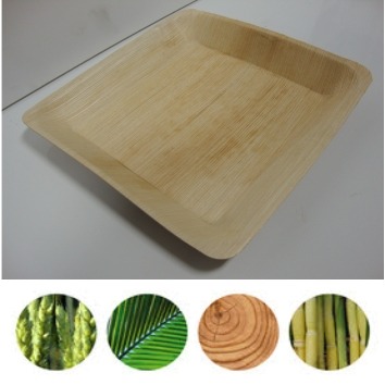 2227 Palmblad bord. 25 stuks